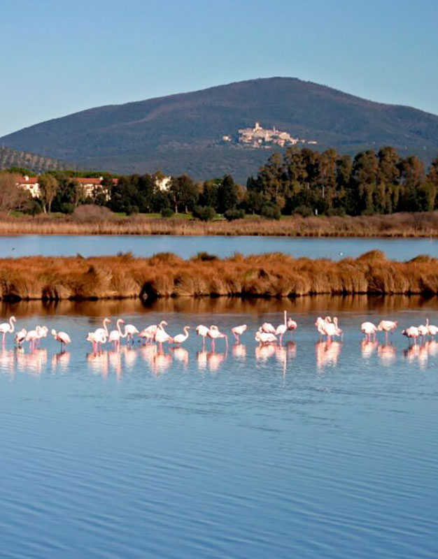 Oasi WWF di Burano